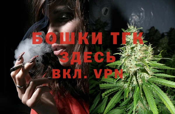 тгк Абинск