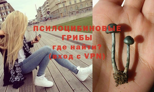 тгк Абдулино
