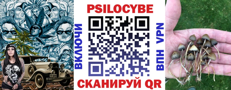 Псилоцибиновые грибы Cubensis Мамадыш